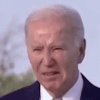gif146.gif