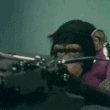 gif210.gif