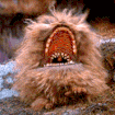 gif073.gif