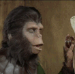 gif022.gif