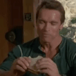 gif146.gif