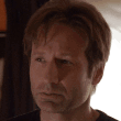 gif284.gif