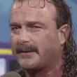 gif293.gif
